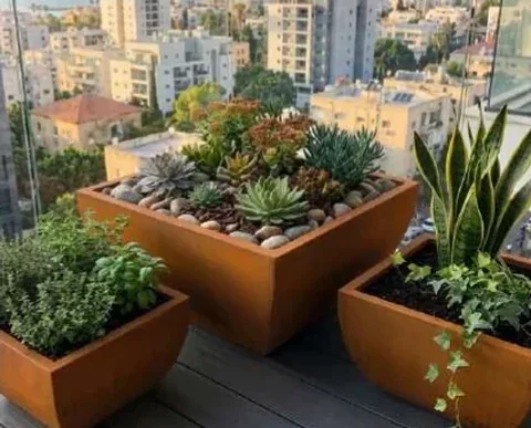 מיכל מרובע קוני נמוך קורטן