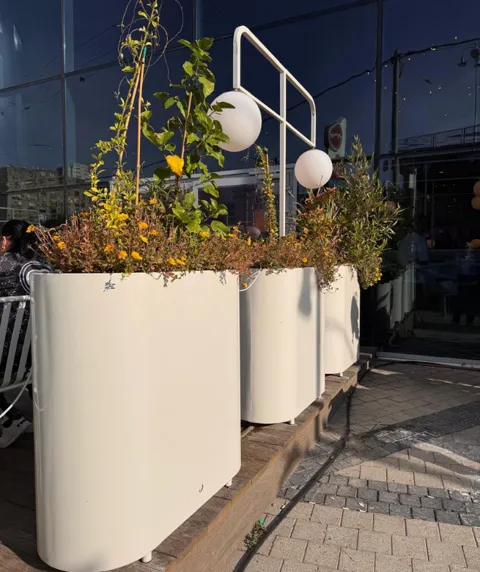 אובלי ססיליה גבוה לשתילה ברזל מגולוון- רוחב 40: תמונה 6