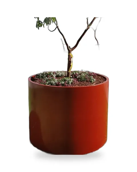 מיכל שתילה ברזל עגול גבוה