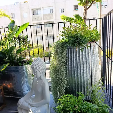 מיכל דולי עגול גבוהאו נמוך ברזל מרוקע במראה ענתיק כפרי: תמונה 4