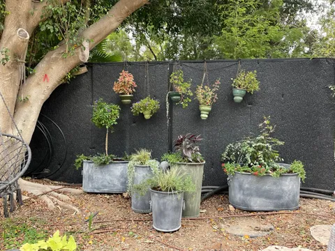 מיכל שתילה וינטג׳ אבירים עגול גדול גובה 60 קוטר 60: תמונה 2