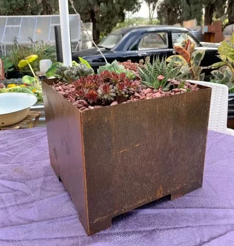 מיכל ארוך וצר 45*15 גובה 15 ס”מ: תמונה 2