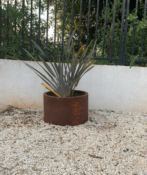 מיכל שתילה קורטן עגול נמוך: תמונה 4
