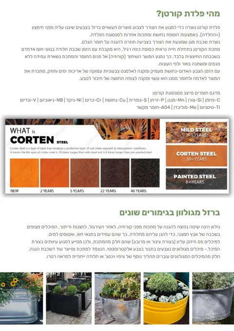 בריכת נוי עגולה נמוכה לצמחיית מים מקורטן: תמונה 4