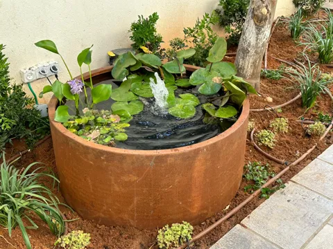 בריכת נוי עגולה נמוכה לצמחיית מים מקורטן: תמונה 5