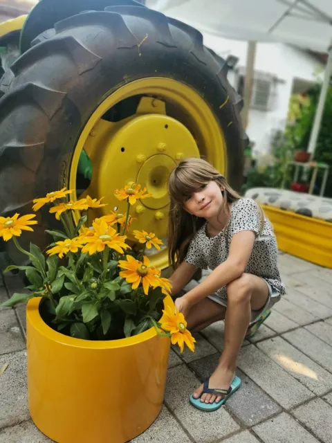 מיכל שתילה ברזל עגול נמוך: תמונה 2