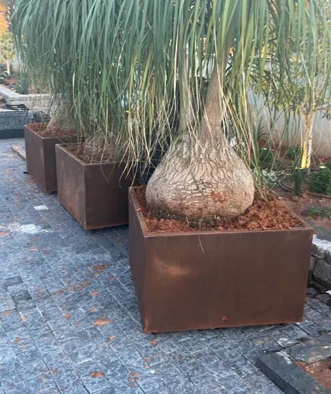 מיכל מרובע לשתילה קורטן קובייה נמוכה: תמונה 5