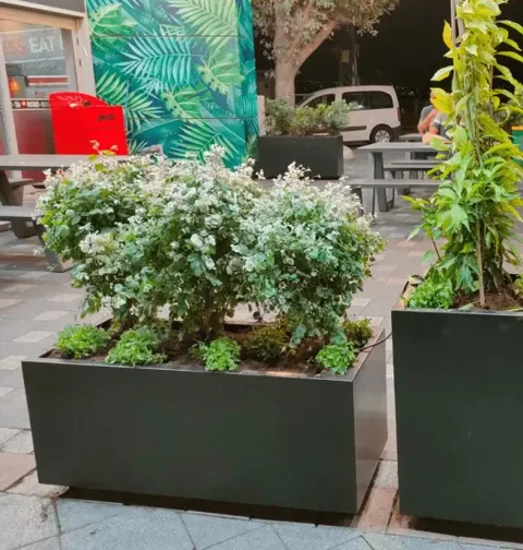 אדנית ברזל מלבן נמוכה: תמונה 3