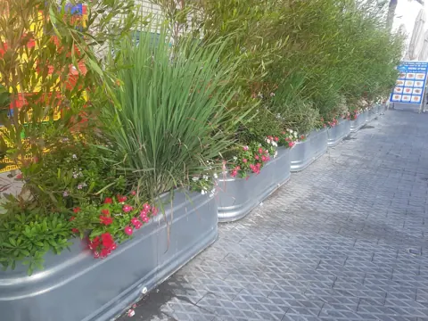 אדניות שוקת מגולוונות עם עשבים ופרחים לאורך מעבר