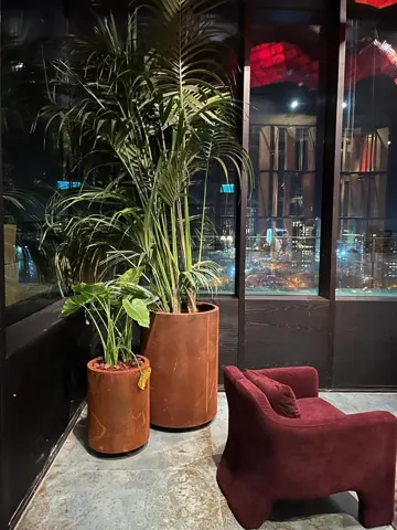 אדניות קורטן גבוהות עם דקלים בחזית חנות