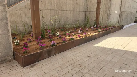 ערוגה ארוכה מוגבהת מקורטן עם פרחים לאורך קיר