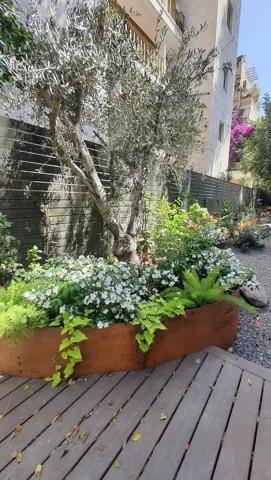 ערוגה מוגבהת מקורטן עם צמחים על דק