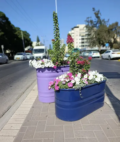 حوضان بنفسجي وأزرق بالزهور على رصيف المدينة