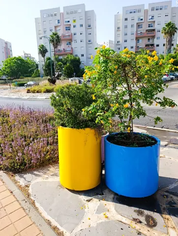 حوضان دائريان أصفر وأزرق بأشجار على رصيف