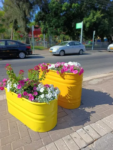 أحواض بيضاوية صفراء بالزهور على جانب الطريق