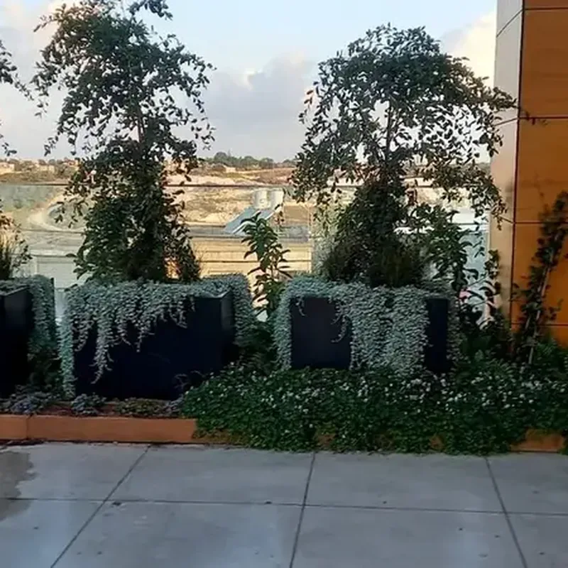 מרפסות וגגות