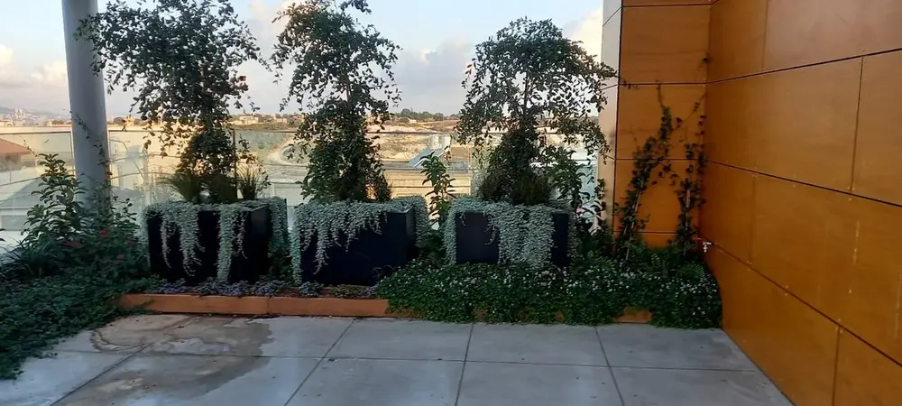 מרפסות וגגות