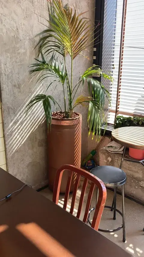 מסעדת גומבה, תל אביב 1