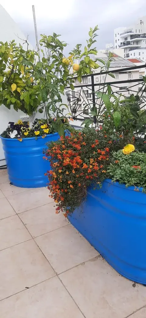 גג יווני בכפר סבא 5
