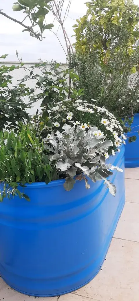גג יווני בכפר סבא 6