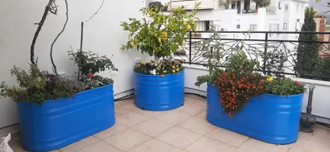 גג יווני בכפר סבא 7