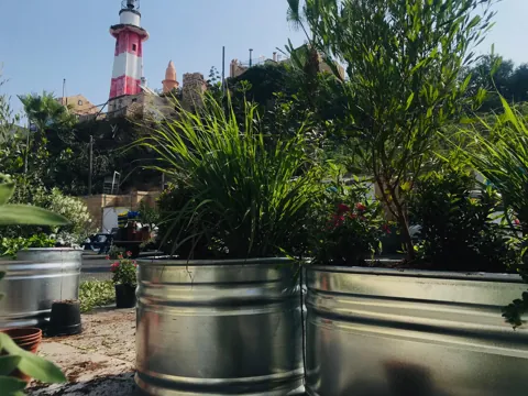 מסעדת הזקן והים, יפו 10
