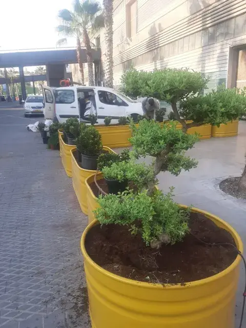 מסעדת הזקן והים, יפו 6