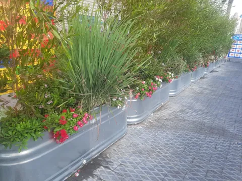 מסעדת הזקן והים, יפו 8