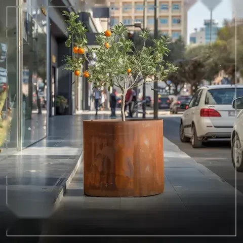 עיריות ומרחב ציבורי 1