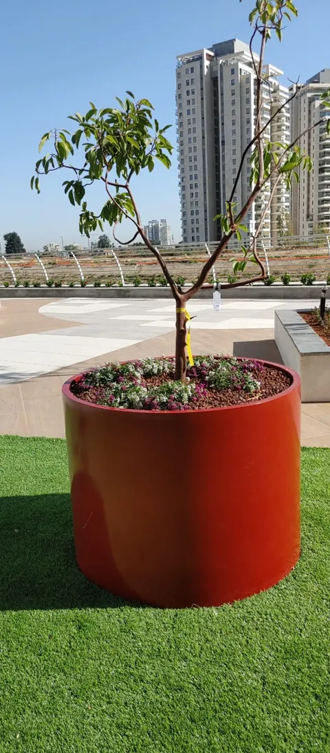 עיריות ומרחב ציבורי 12