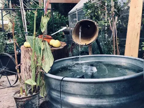 בריכות נוי ואלמנטים למים 6