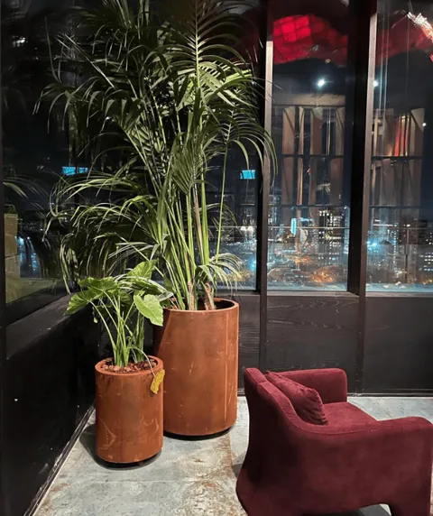 מיכל שתילה ברזל עגול גבוה: תמונה 2