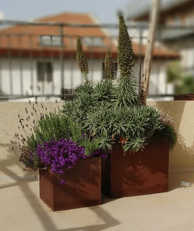 מיכל מרובע לשתילה קורטן קובייה גבוה או קובייה סימטרי: תמונה 1