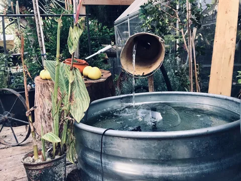 בריכת דגים אורבן רטרו עגולה גדולה: תמונה 4