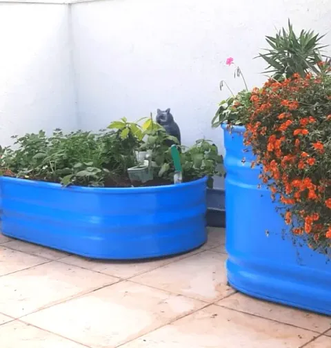 אדנית רטרו אורבן אובלית נמוכה לשתילה ברזל מגולוון: תמונה 5