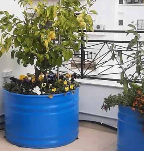 מיכל שתילה רטרו עגול ענק במיוחד לעצים: תמונה 4