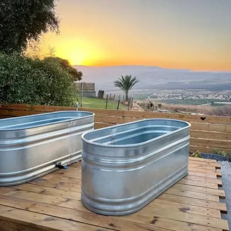 בריכת מתכת אורבן רטרו אובלי לצמחי נוי ודגים: תמונה 6