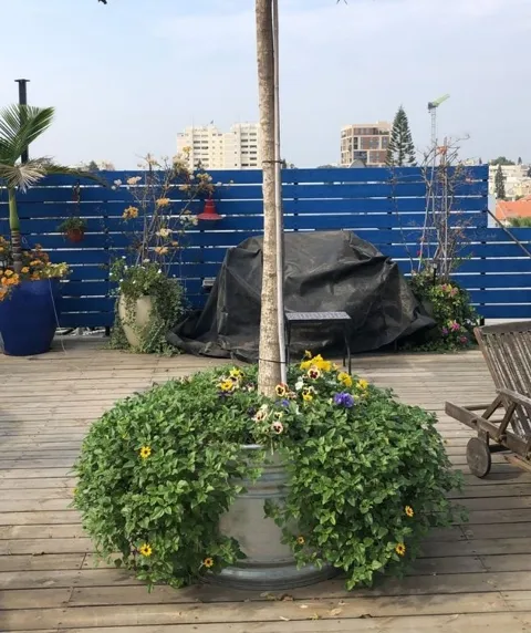 מיכל שתילה עגול רטרו אורבן גבוה: תמונה 6